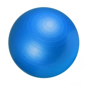 Träningsboll 65 cm - Nordic Strength (Blå)