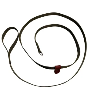 Enkel hundkoppel, flat, grön - Retrieverkoppel